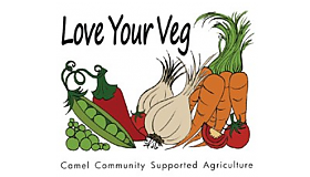 Camel Community Supported Agriculture shortlisted for Cornwall Sustainability Awards