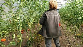 Cornwall New Energy secures funding for local growing charity